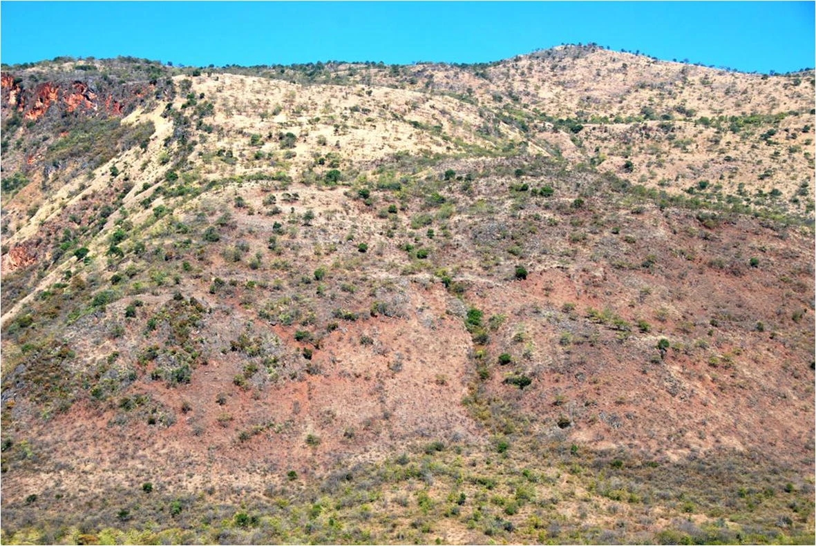 Trade-offs Exist in Hydraulic and Mechanical Traits of Plants in Chinese Savanna