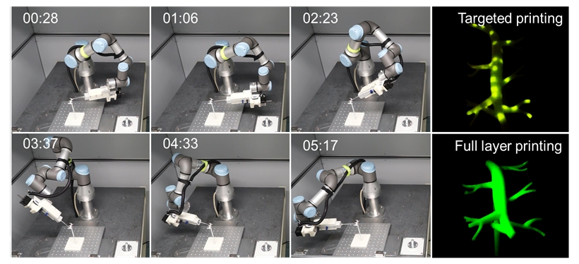 Novel 3D Bioprinting Platform Breaks Through Limitations of Conventional Bioprinting Techniques