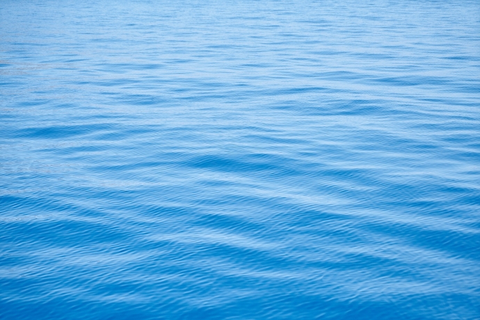 How Do Eddies Drive Sea Surface Temperature Anomalies?