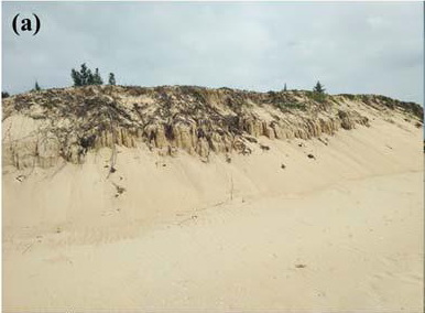 Mysterious Singing Sands Discovered on Hainan Coast