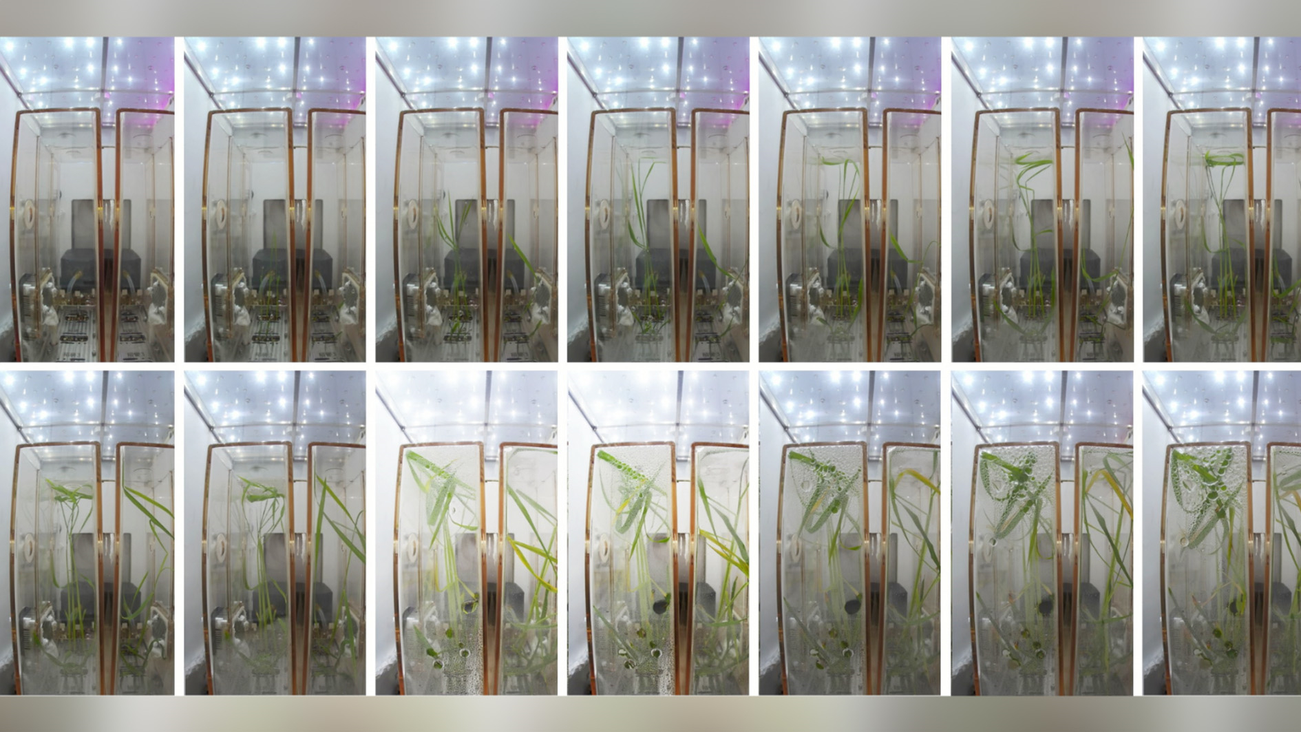 China Space Station: Experimental Cabinets Work Well