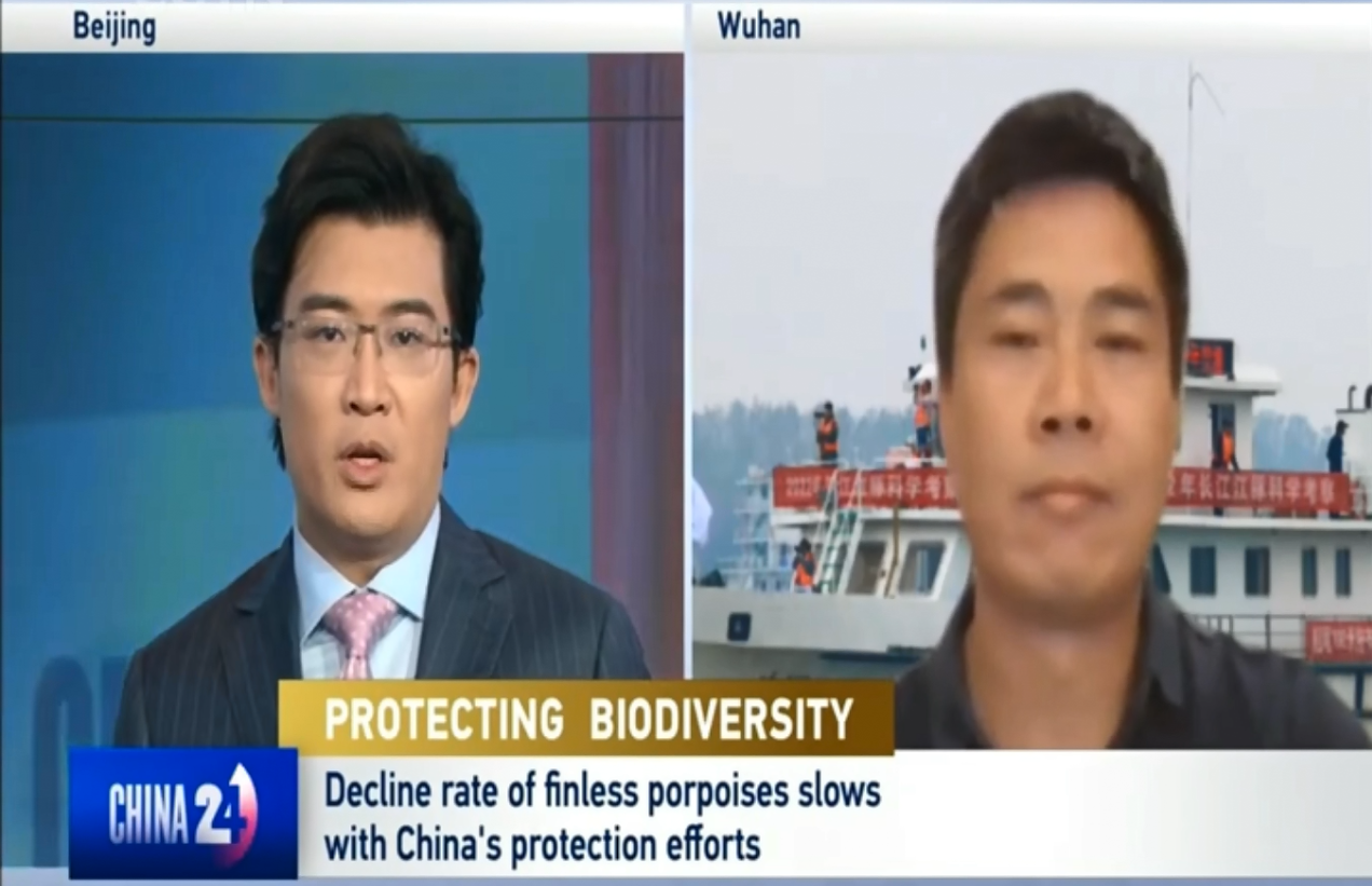 10 Year Fishing Ban Restores Vitality to Yangtze River