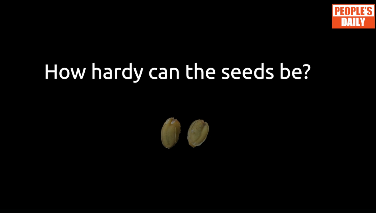 Re-germination of Seeds on Mount Qomolangma