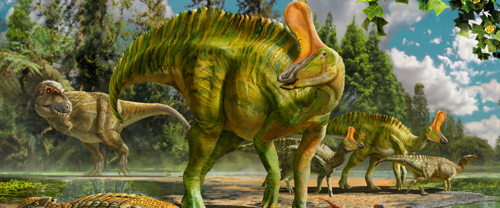 Chinese Fossil Eggs Show Dinosaur Decline Before Extinction