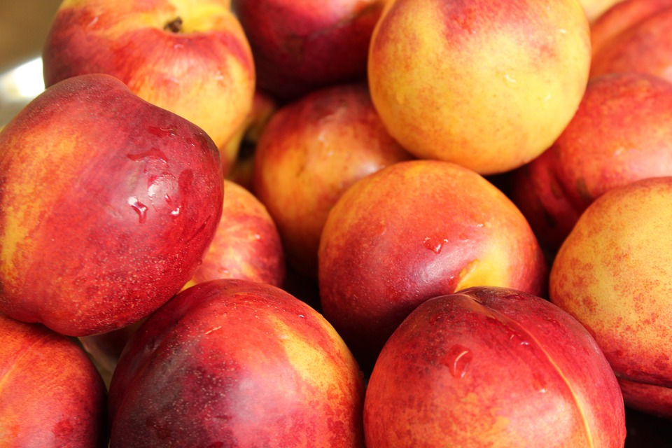 What Gives Nectarines Smooth and Shiny Appearance?
