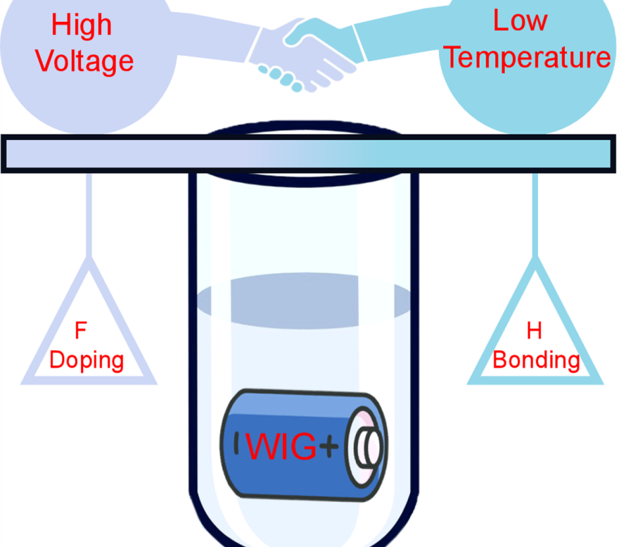 Novel Aqueous Polymeric Sodium Battery Enables Operation in Water or at Low Temperature