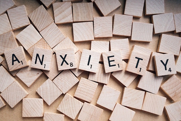 VTA→BLA Dopamine Neurons Selectively Control Anxiety-Related Behaviors in Anxiety or Comorbid Anxiety-Depression Conditions