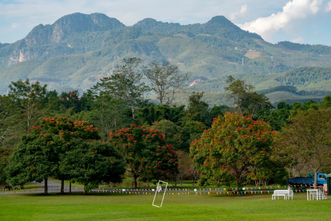 Environmental Education and Advocacy: Complementary Strategy for Rural Development and Conservation