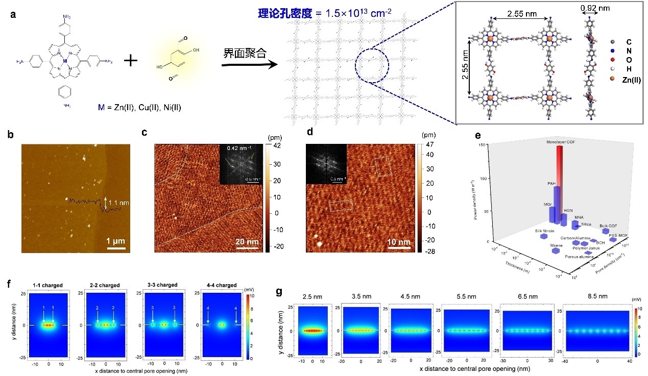 Harvesting Blue Energy by Covalent Organic Framework Monolayer Membranes