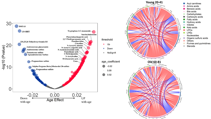 Researchers Discover Human Aging-associated Metabolic Features and Pathways