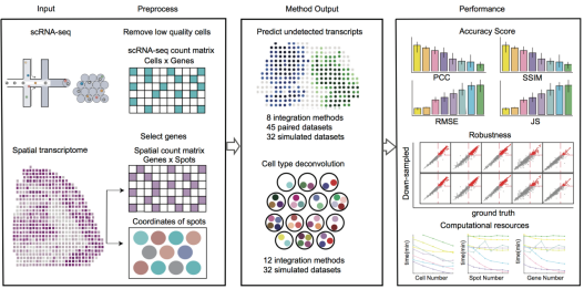 Researchers Benchmark Transcriptomics Integration Methods for Transcript Distribution Prediction and Cell Type Deconvolution