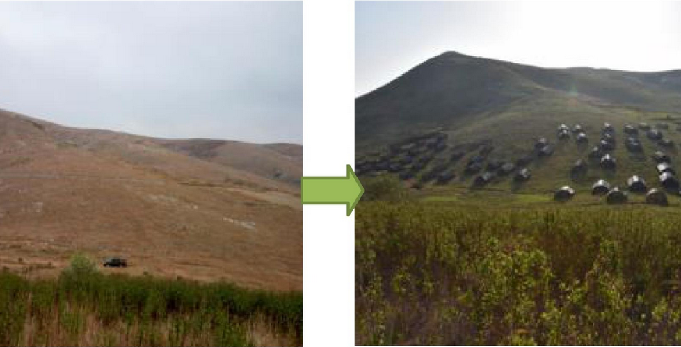Study Shows Positive Effects of Shading and Watering on Early Seedling Survival after Topsoil Translocation in Karst Region