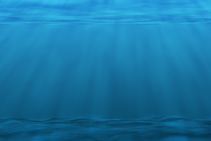 Study Reveals the First Deep-sea Crustacean Genome