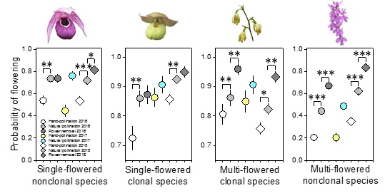 Researchers Reveal Trait-dependent Demographic Costs of Reproduction in Coexisting Plant Species