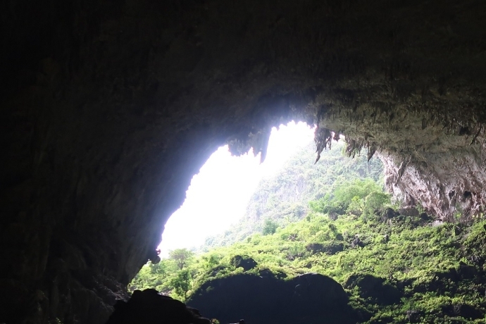Scientists Unravel Biotic Colonization History of Subtropical East Asian Caves