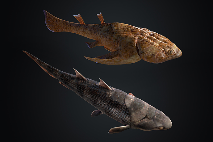 Dawn of Fishes—Early Silurian Jawed Vertebrates Revealed Head to Tail