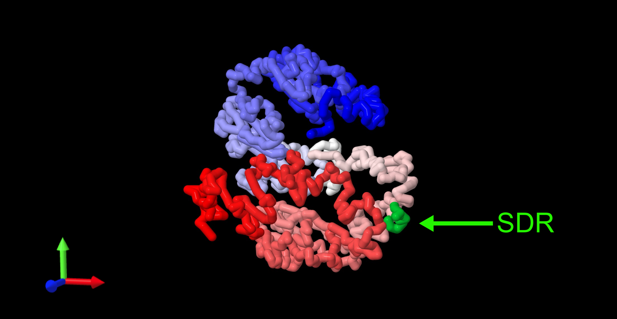 Researchers Reveal Origin and Chromatin Remodeling of Young X/Y Sex Chromosomes in Catfish with Sexual Plasticity