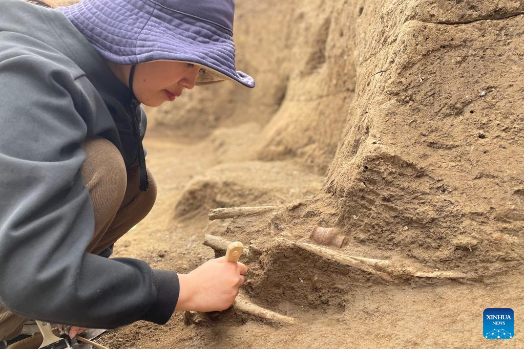 Second Excavation Launched in East China's Neolithic Site
