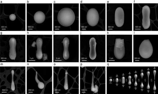 Natural Glass Material Discovered in Chang'e-5 Lunar Samples