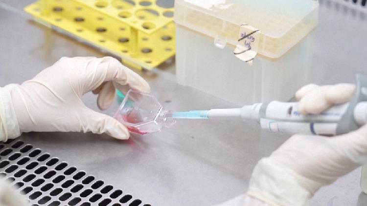 Over 20 kg of Experiment Samples Retrieved from China Space Station