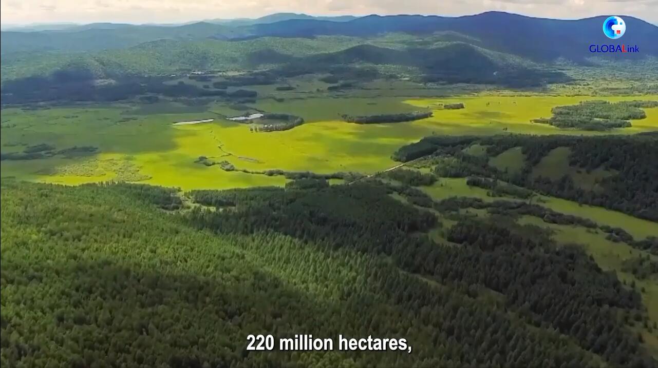 China's Forest Fire Prevention Makes Contributions to Global CO2 Reduction: Expert