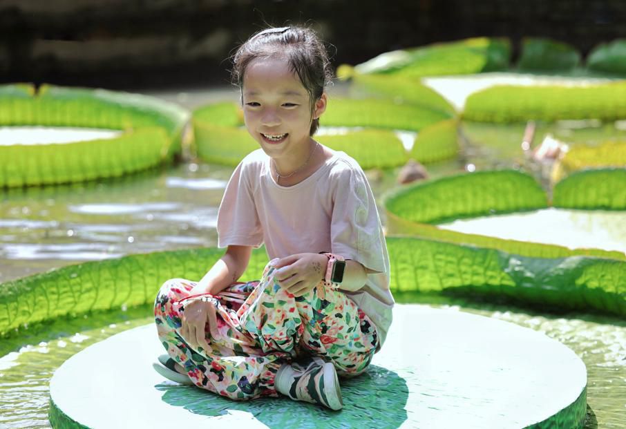 Giant Lily Pads Carry Weight of Delighted Visitors