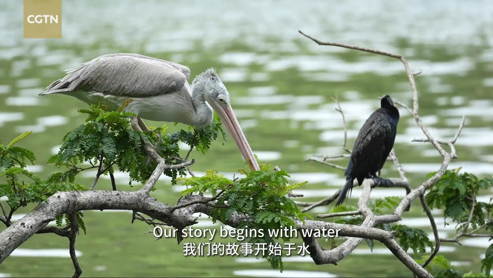 China Provides Critical Water Purification Tech to Sri Lanka