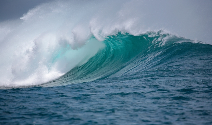 How Does Anthropogenic Warming Influence Record-breaking Northwest Pacific Marine Heatwave?