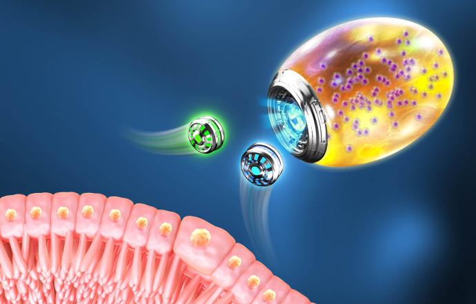 Twin-bioengine Self-adaptive Micro/Nanorobots Developed for Gastrointestinal Inflammation Therapy