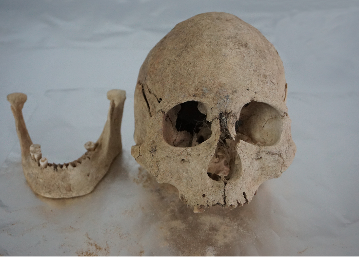 Genomic Study of Ancient Humans Sheds Light on Human Evolution on the Tibetan Plateau