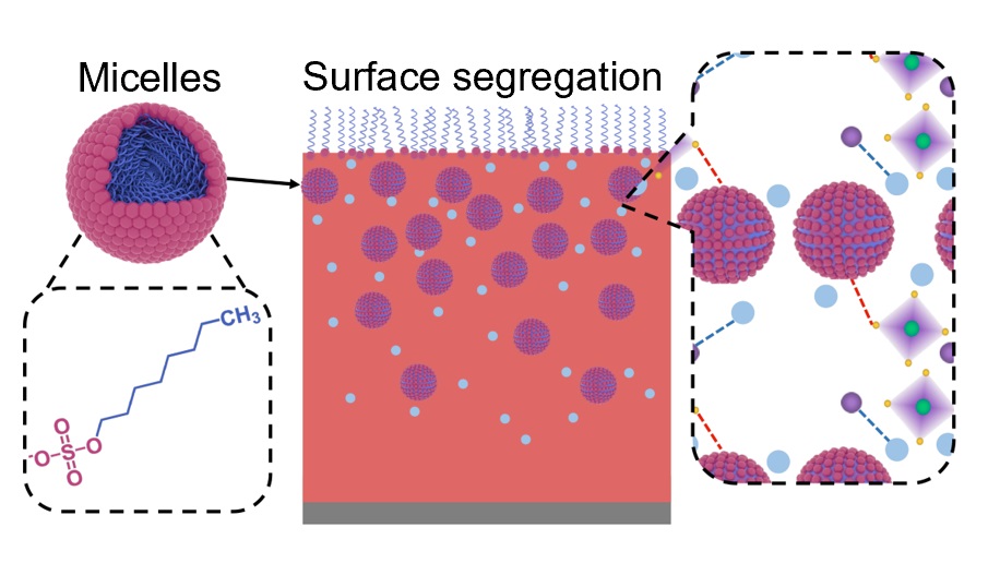 Novel Additive Helps Improve Stability of Perovskite/silicon Tandem Solar Cells