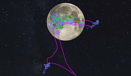 One-minute Visual Fixation Can Identify Patients with Schizophrenia