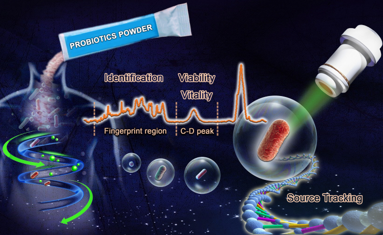 SCIVVS Approach Supports Faster and Cheaper Assessment of Probiotics Quality