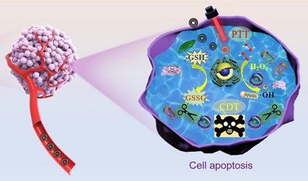 Carbon-encapsulated Magnetite Nanodonut Proposed for Synergistic Cancer Therapy