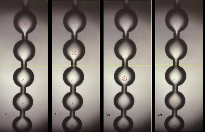 Scientists Develop Acoustic 3D Trapping of Microparticles in Flowing Liquid Using Circular Cavity