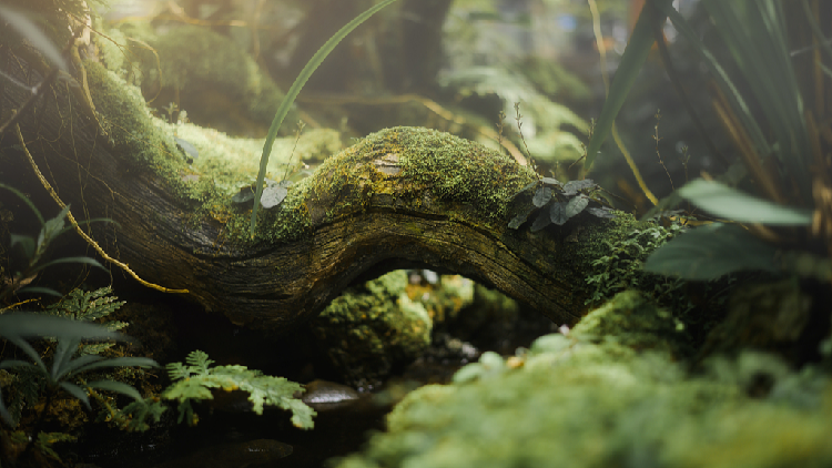 Chinese Scientists Study Laws of Nature to Achieve Efficient Carbon Storage