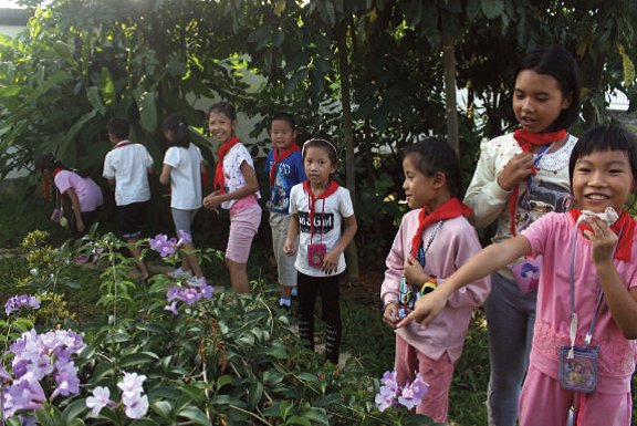 School Gardens Cultivate Children's Interest in Nature, Ease Stress