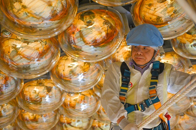 More Efforts, Investment Needed to Promote Development of Basic Research, Large Scientific Facilities in China: Top Physicist, Legislator