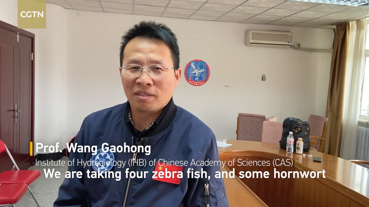 Shenzhou-18 Crew to Take Fish to Space