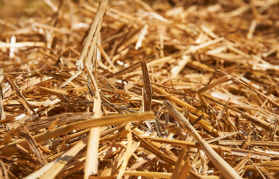 No-Tillage with Straw Mulch Reduces Chemical Fertilizer Loss