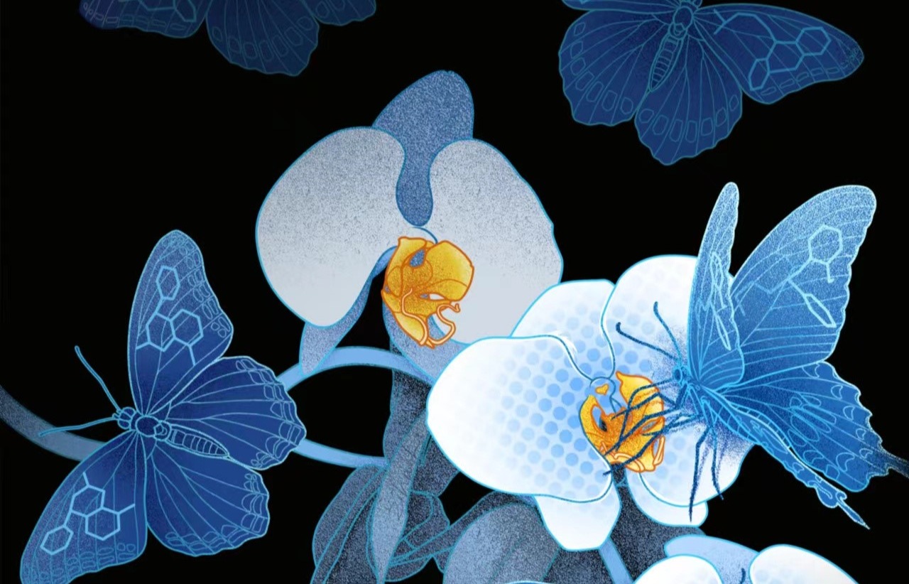 Study Decodes Dimerization and Antidepressant Recognition at Noradrenaline Transporter