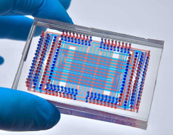 MAGIC-seq: Reshaping Framework of Spatial Transcriptomics Technology