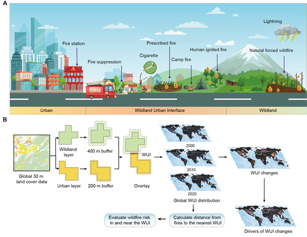 Rapid Growth of Global Wildland-Urban Interface Associated with Wildfire Risk, Study Shows