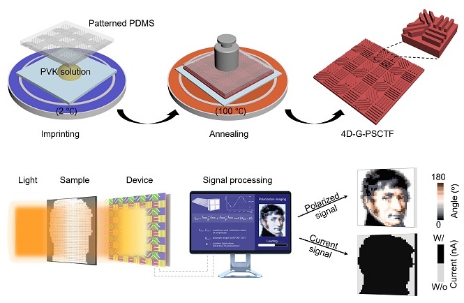 Researchers Develop Polarization Photodetector Mimicking Desert Ant