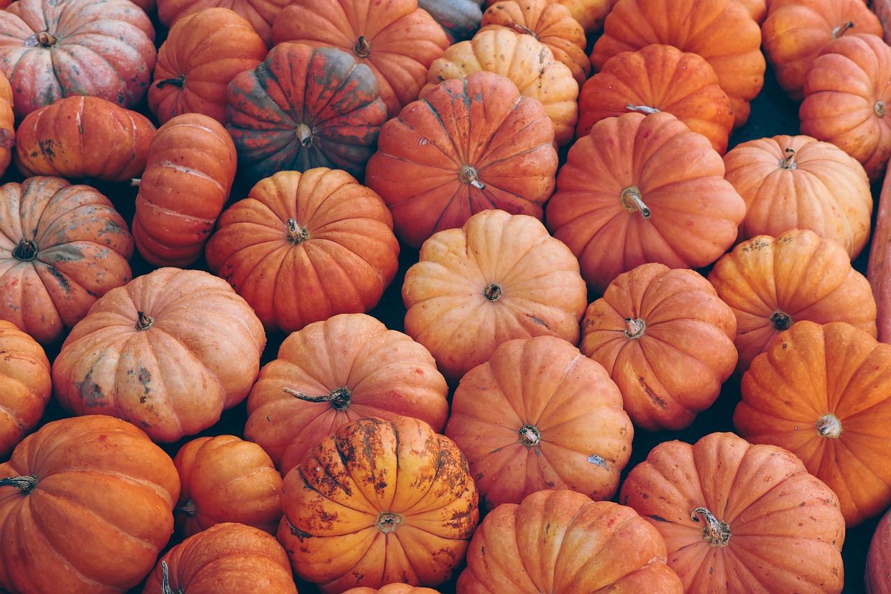 Smart Scanning for Better Pumpkins: New Tech Helps Measure Taste and Quality in Seconds