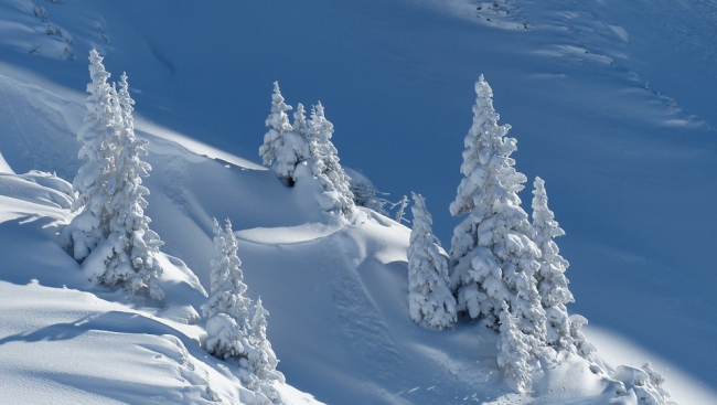 Snow Means Work, Not Fun, for Researchers