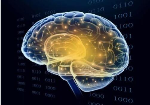 AAAS Launches Third Journal in its Science Partner Journal Program