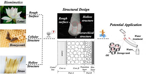 Chinese Scientists Develop New Material to Tackle Oil Pollution
