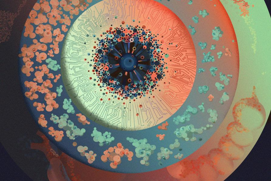 Researchers Engineer Quantitative Synthetic Circuit for Precise Cellular Differentiation and Proportion Control