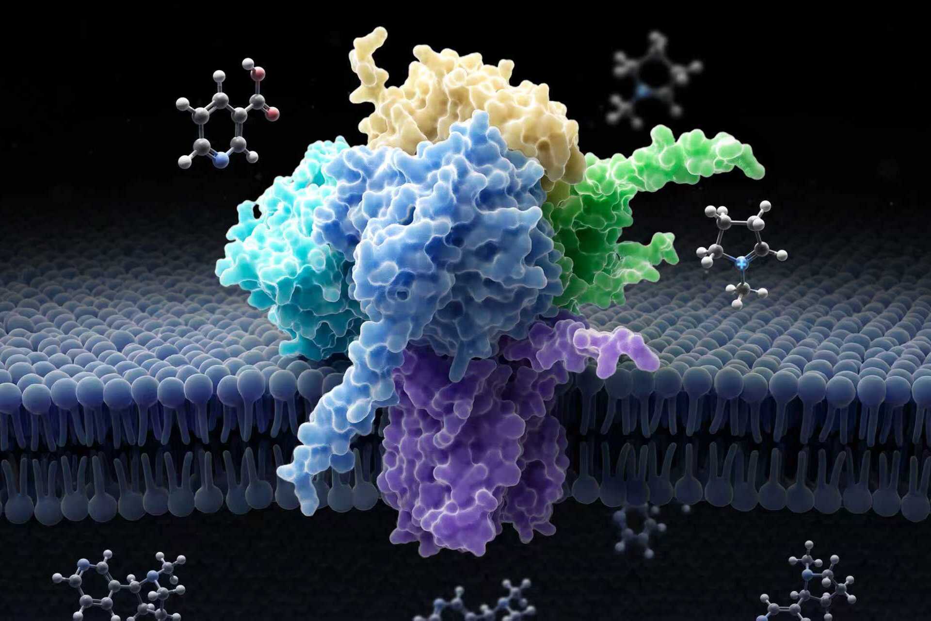 Researchers Elucidate Complete Biosynthesis of Nicotine